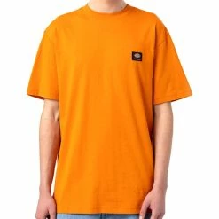 Dickies Mount Vista T-Shirt - Burnt Orange