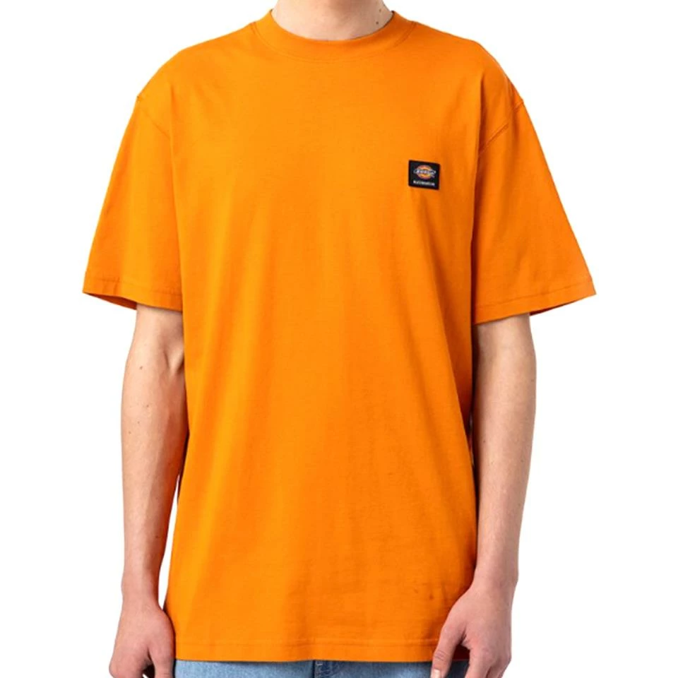 Dickies Mount Vista T-Shirt - Burnt Orange
